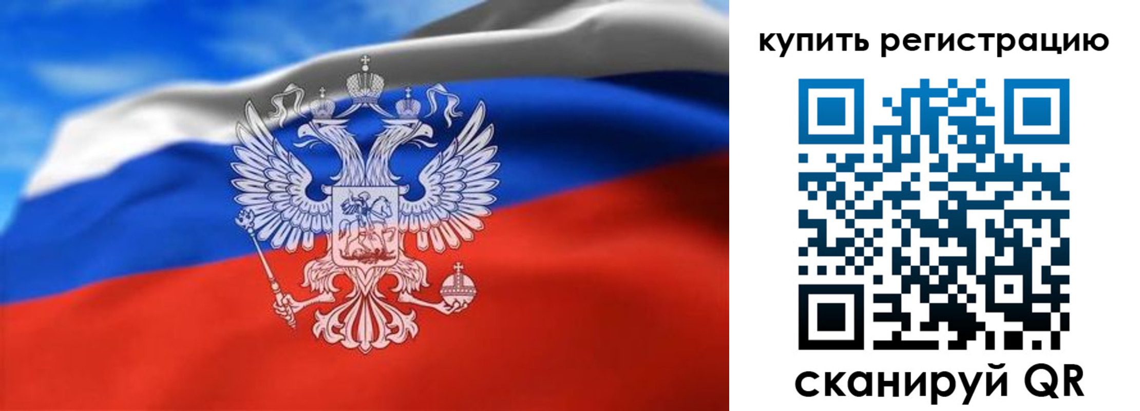 прописка законно в Звенигово
