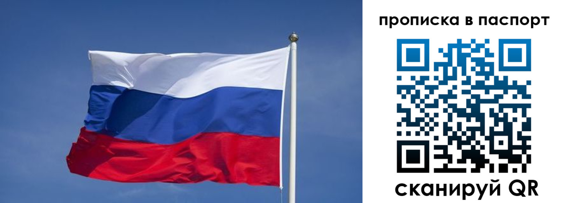 прописка ребенка в Звенигово